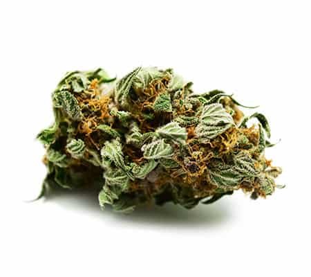Buy Alpha OG Cannabis Strain Online Fast