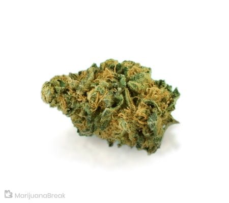Buy Avidekel Strain Online: Fast, Affordable Relief