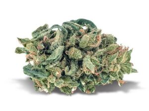 Buy Blue Cheese Strain Online | Fast Relief