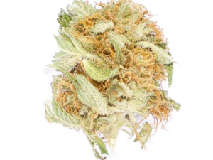 Buy Blueberry Kush Online - Fast & Relaxing