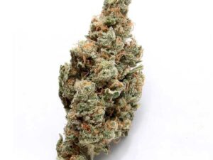 Buy Bruce Banner Strain Online – Fast & Potent