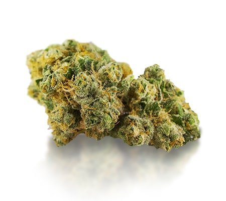 Buy Bruce Banner Strain: Potent Hybrid Online