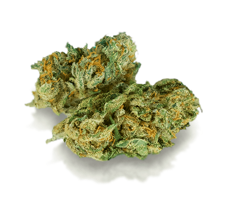 Buy Canna-Tsu Cannabis Strain: Effortless Relief
