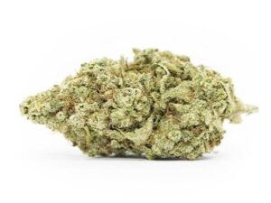 Dominion Skunk for Sale: Fast & Effortless