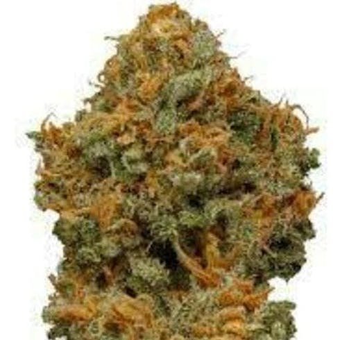 Buy Dream Queen by Good Tree | Fast Cannabis