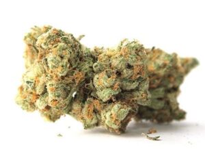Buy Early Girl Strain Online - Fast, Effortless