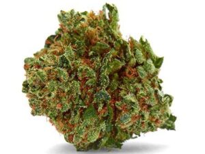 Buy Ed Rosenthal Super Bud Online: Fast High