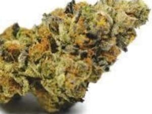 Buy GSC for Euphoria - Fast, Effortless Relief