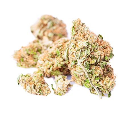 Buy Golden Goat Marijuana: Fast, Euphoric Highs
