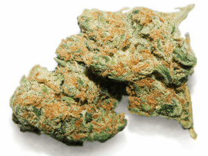 Buy Jack Frost Cannabis Strain Online Fast