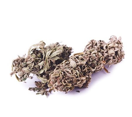 Buy Jesus OG Cannabis Strain Online - Fast, Euphoric High