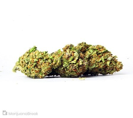 Buy Laughing Buddha Cannabis | Fast, Happy High