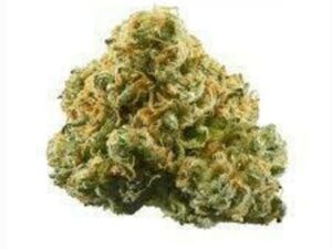 Buy Lebanese Hash Fire LHF Online Now