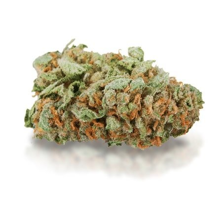 Master Kush Strain: Buy Premium Cannabis Fast