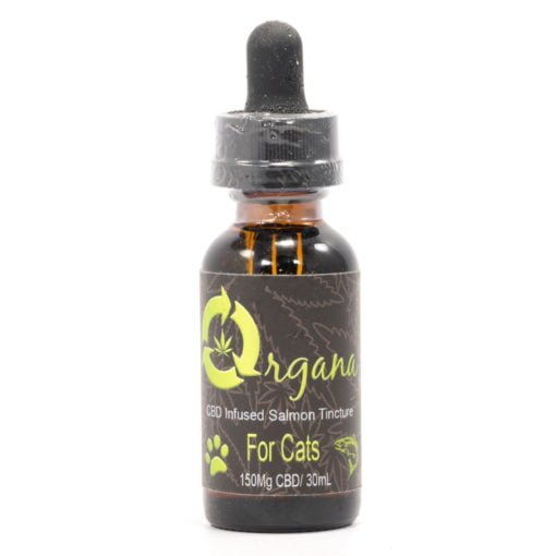 Buy Organa CBD Cat Tincture – Fast & Effective Relief