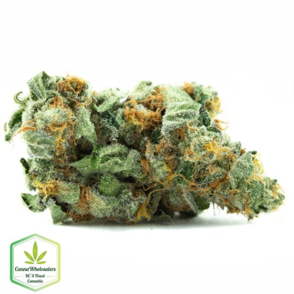 Peyote Cookies for Sale - Buy Premium Buds Easily