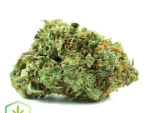 Buy Presidential OG for Sale: Potent & Fast