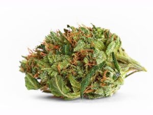 Buy Painkiller XL Strain Online – Fast Relief