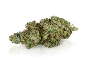 Buy Permafrost Cannabis Strain Online: Fast & Potent