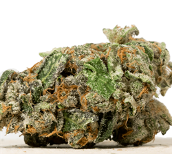 Buy Pine Tar AAAA+ Online - Fast Premium Indica