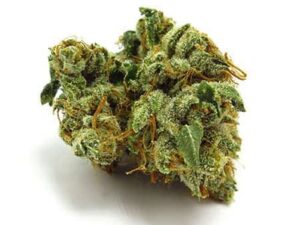 Pitbull Strain for Sale - Buy Relaxing Indica