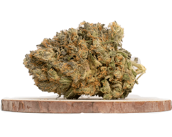 Platinum Blackberry (AAA) – Buy Premium Strain Fast