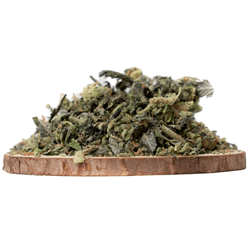 Buy Purple Kush Indica Strains Online - Potent