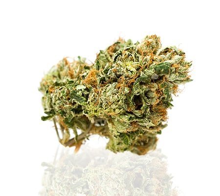 Buy Purple Trainwreck Cannabis Fast & Potent