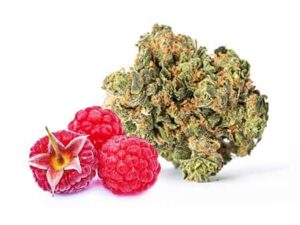 Buy Raspberry Kush Online: Fast & Relaxing
