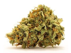 Buy Royal Haze Strain Online - Fast & Energizing