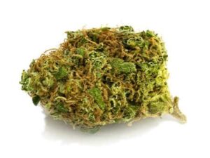 Buy Royal Medic Strain: Fast, Relief Online