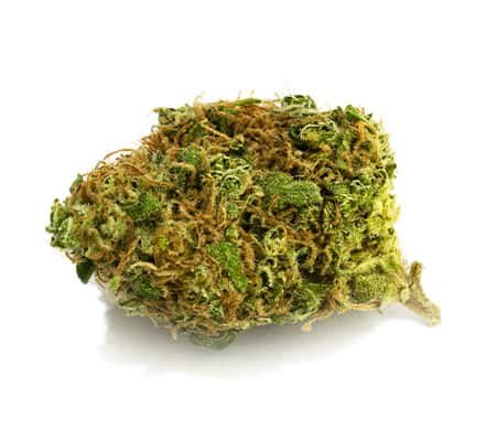 Buy Royal Medic Strain: Fast, Relief Online