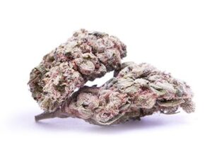 Buy Snowcap Cannabis Strain Online – Fast