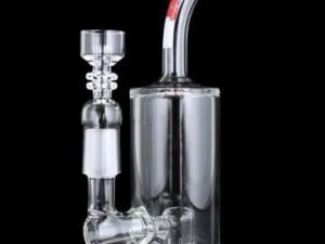 Buy Stemless Showerhead Perc Bubbler | Affordable
