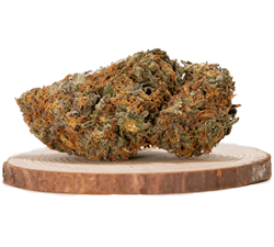 Buy Strawberry Sativa (AA) Online - Fast & Uplifting