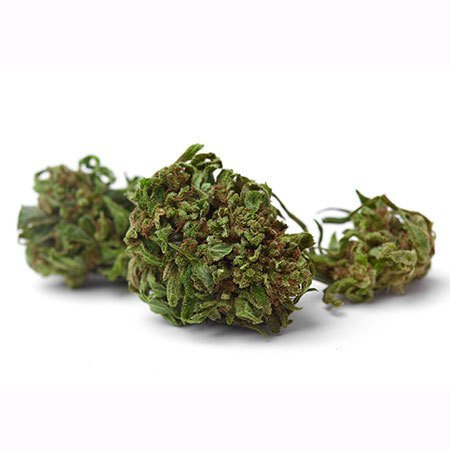 Buy Sweet Cream Cannabis Strain – Premium & Effortless