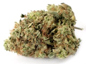 Buy Violator Kush: Fast, Relaxing AAAA Indica