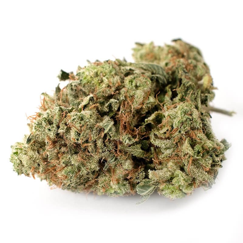 Buy Violator Kush: Fast, Relaxing AAAA Indica