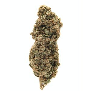 Buy White Rhino Strain Online: Potent, Affordable